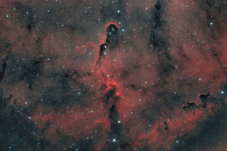 vdB 142 Elephant’s Trunk Nebula