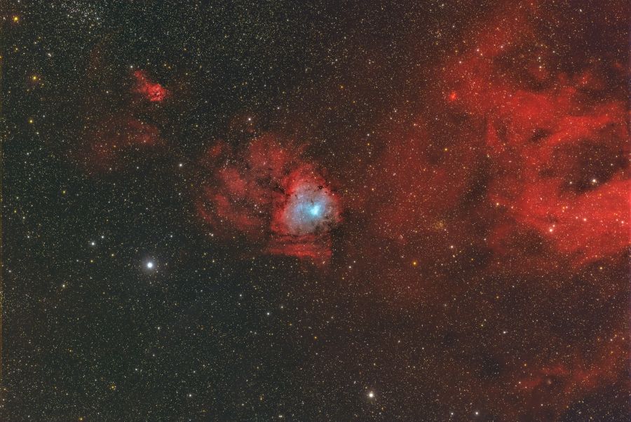 Impronta fossile di dinosauro (NGC 1491)