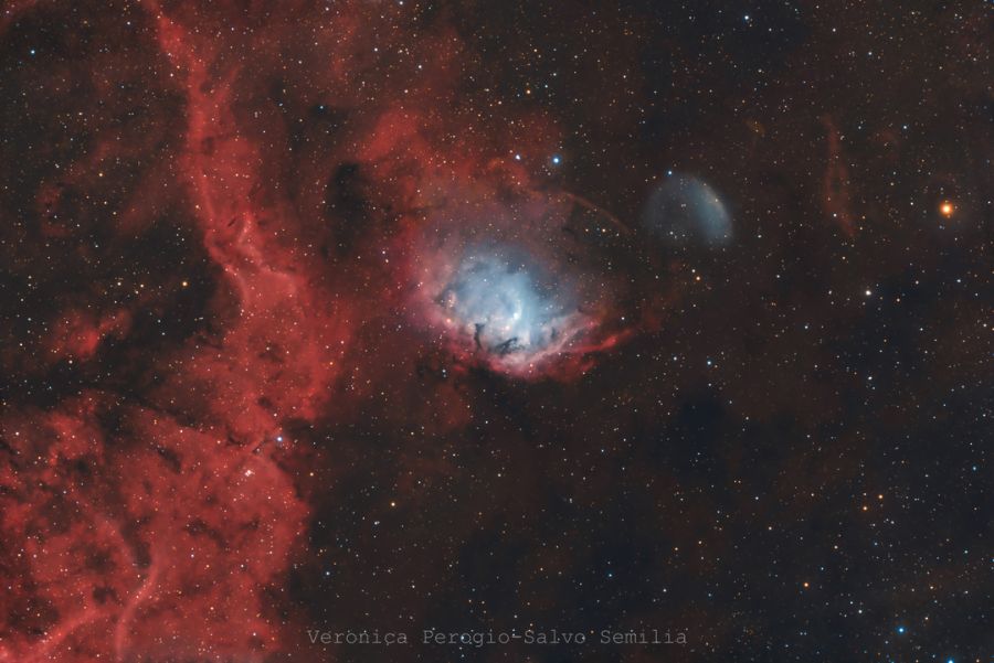 TULIP NEBULA AND CYGNUS X-1