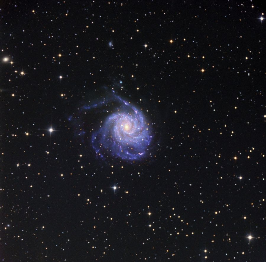 M101