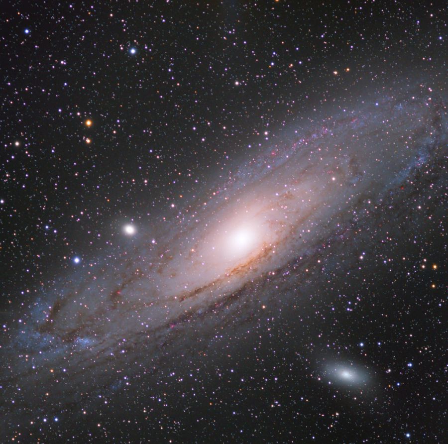 M31