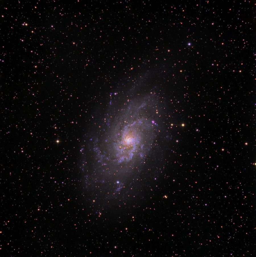 Galassia M33