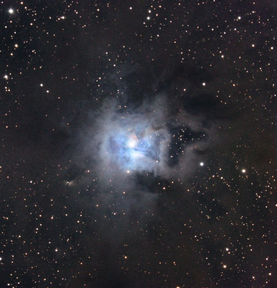 Ngc 7023 "Iris"