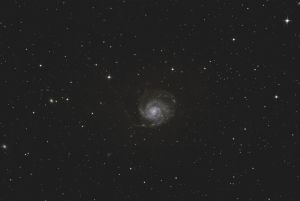 Galassia Girandola M101