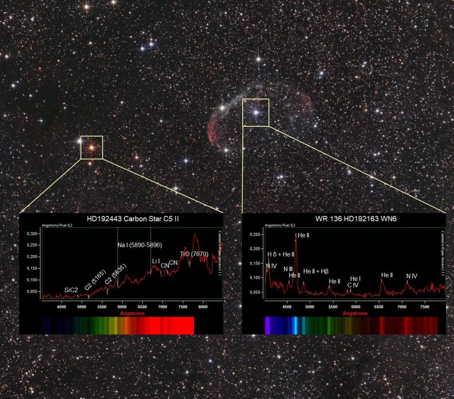 Nebulosa Crescente e spettri