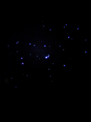 Pleiadi (M45)