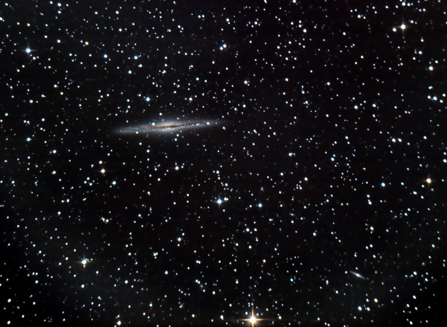 NGC891