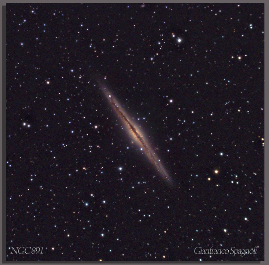 ngc 891