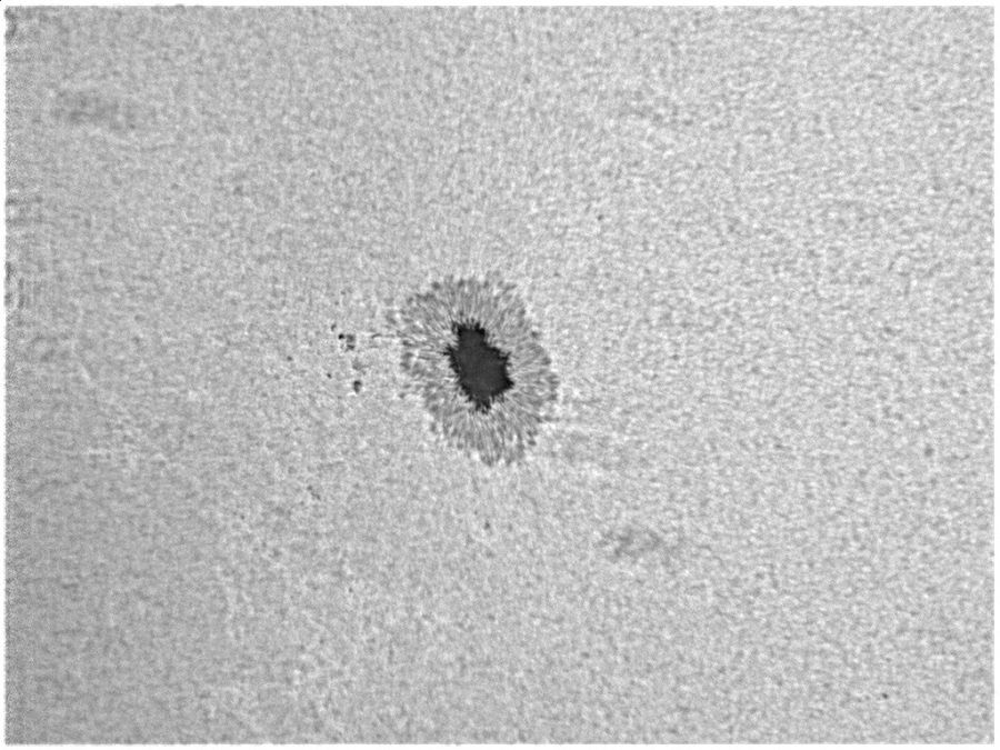 macchia solare AR 2546