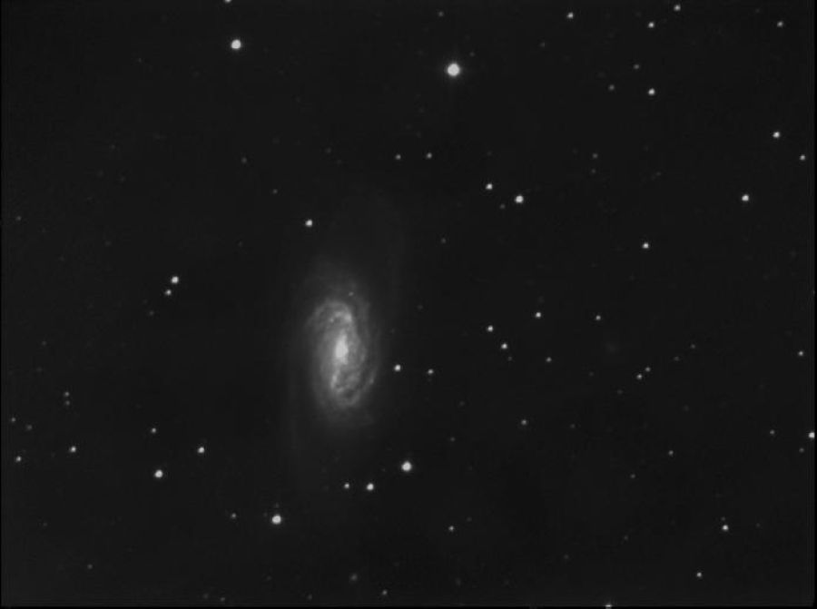 ngc 2903 in UMA