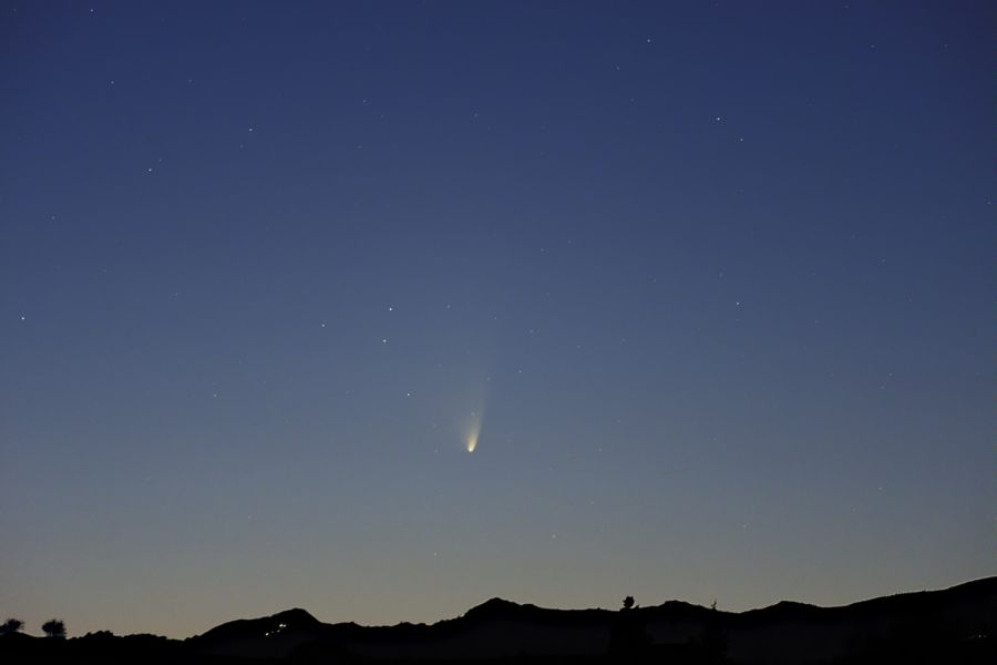 la cometa a Primavera