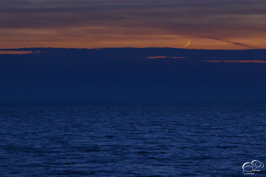 Falcetto di Luna crescente