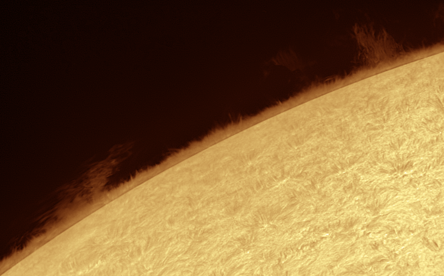 Prominence 2020.08.28