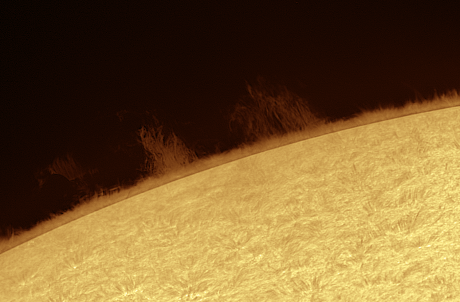 Prominence 2020.08.28