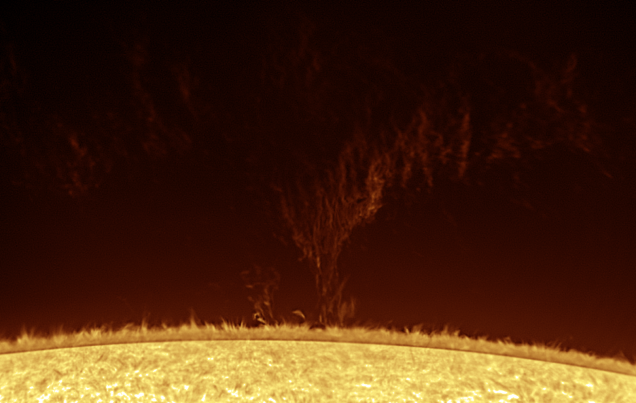 Huge prominence 2020.07.05