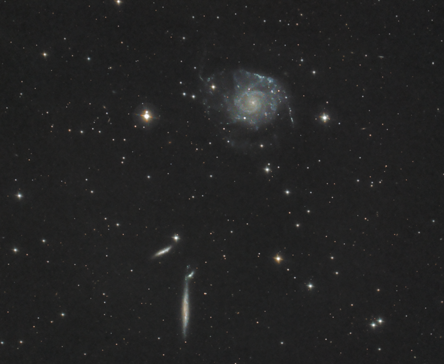 NGC2805, 2814,2820