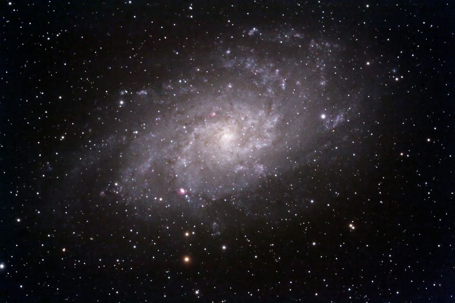 M33