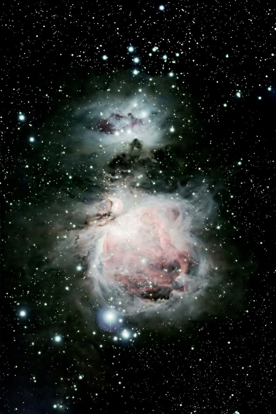 M42 Grande Nebulosa di Orione