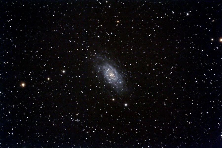 NGC2403