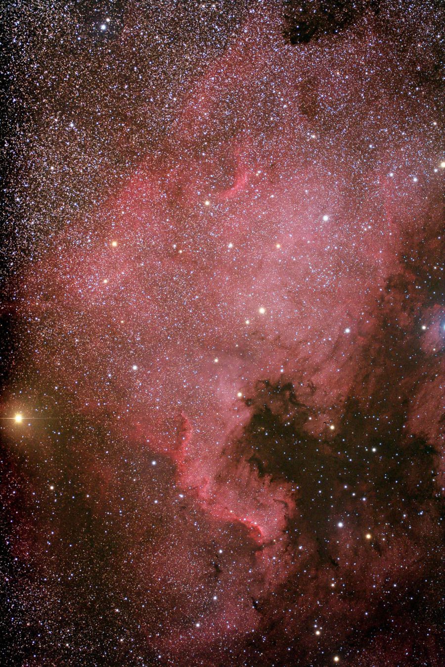 NGC7000 – Nebulosa "Nord America"