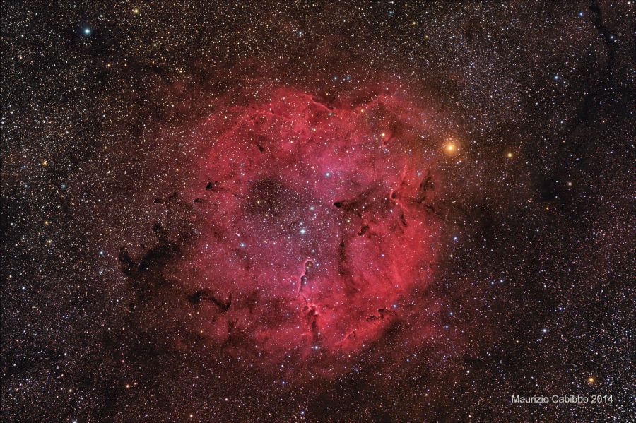 IC1396 Widefield