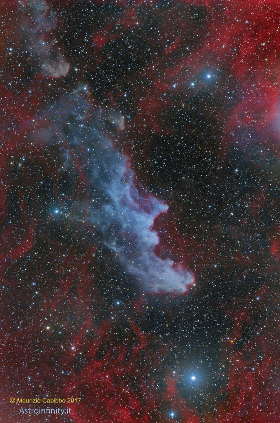 IC2118 "WitchHead" nebula