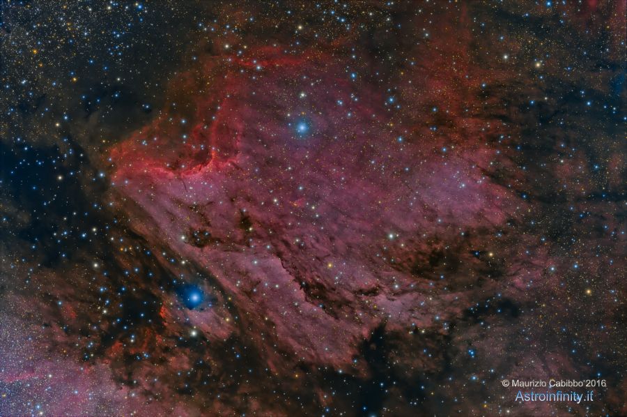 Nebulosa Pellicano