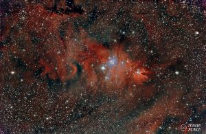 Nebulosa Albero di Natale e Nebulosa Cono dalla Sardegna