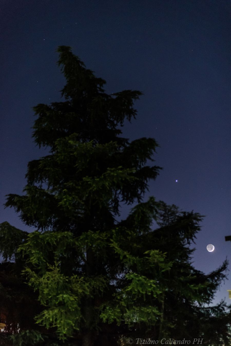 Addobbi per l’albero di Natale