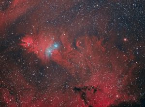 Nebulosa a emissione conosciuta con il nome "Cono o Albero di natale"  con l'ammasso aperto di stelle NGC 2264.