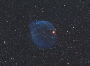 Nebulosa Sh2-308 "il delfino" 