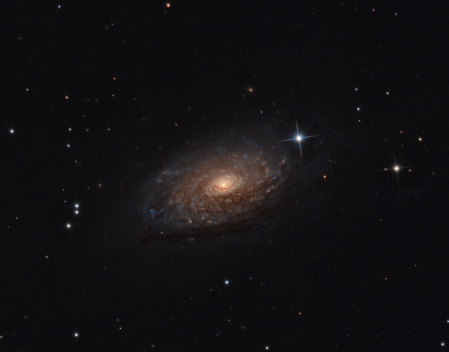 Galassia a spirale M63 "Girasole"