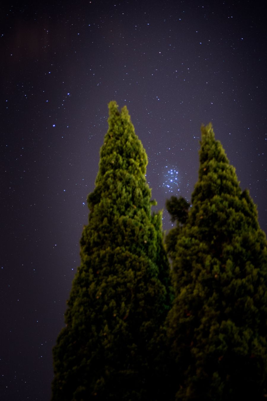 Le Pleiadi e i cipressi