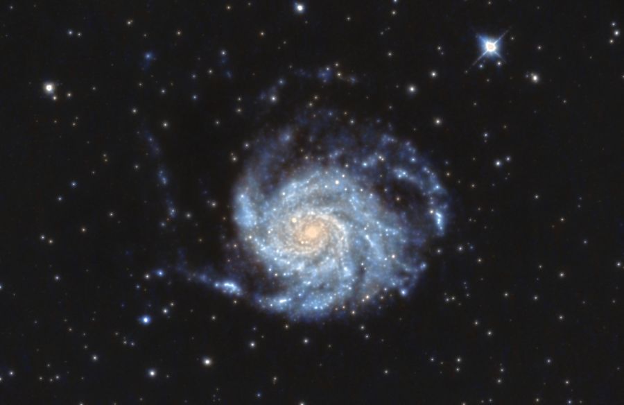 M 101