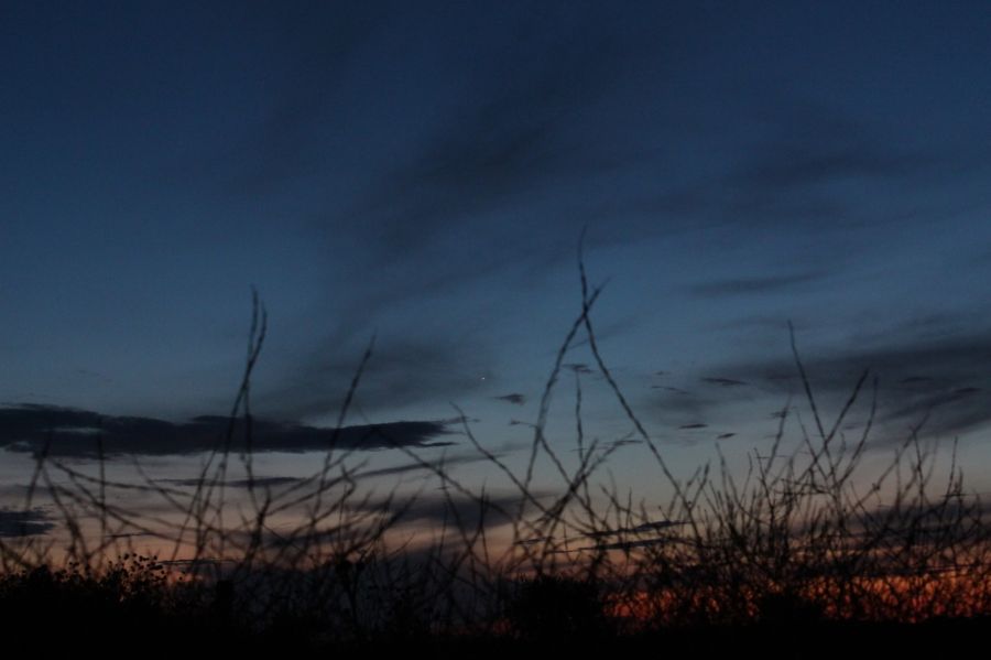 Venere si nasconde tra le piante