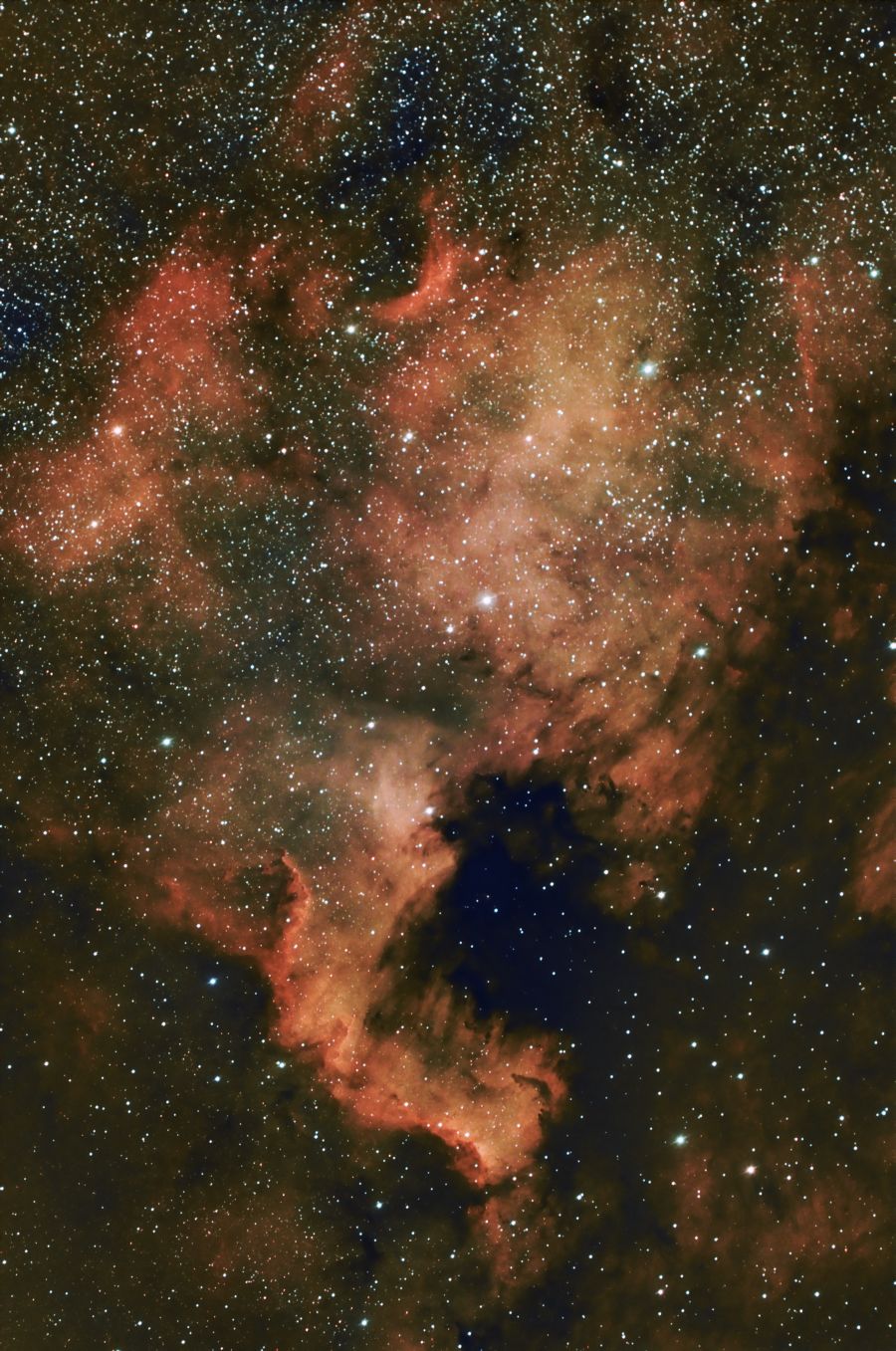 NGC 7000