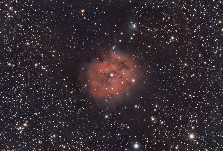 IC5146 Nebulosa Coccon