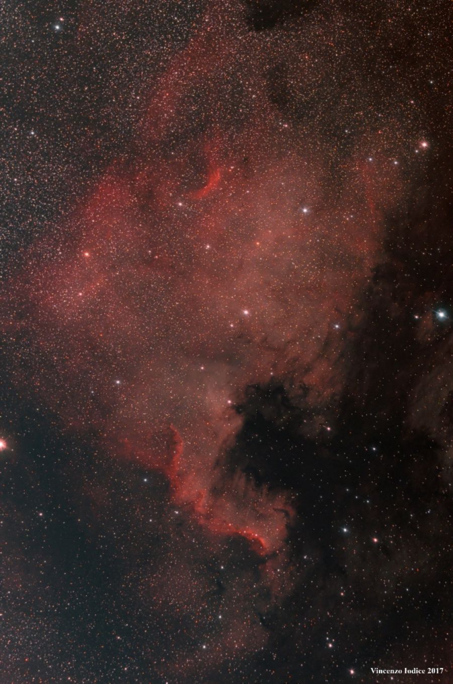 NGC 7000