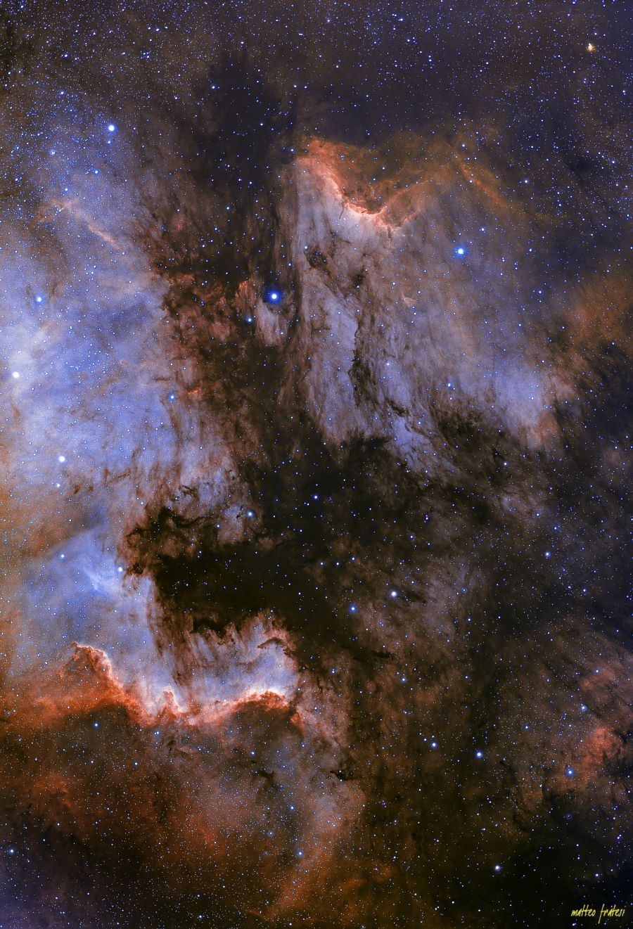 Nebulosa Nord America e pellicano