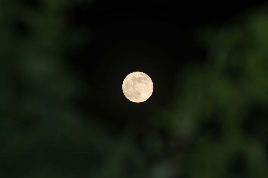 SuperLuna – Rise 2 – 7 maggio 2020