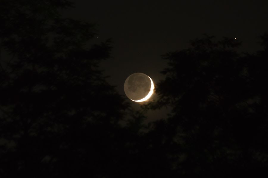 Luna in luce cinerea – Falcetto di Luna crescente tra gli alberi