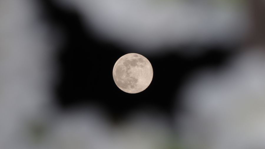 SuperLuna – Luna al Perigeo – Massima Librazione SUD – Alternativa