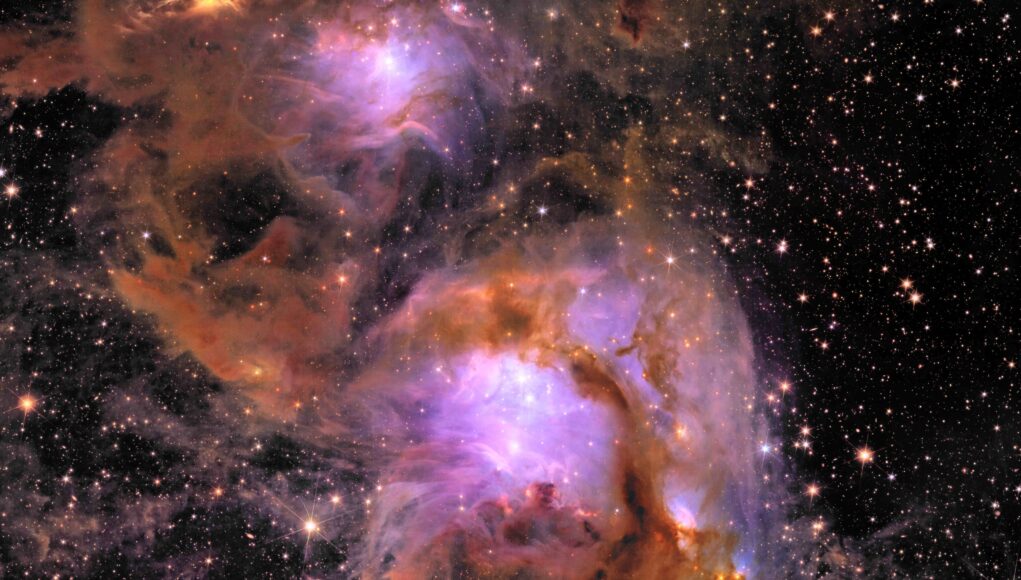 Euclid Messier 78