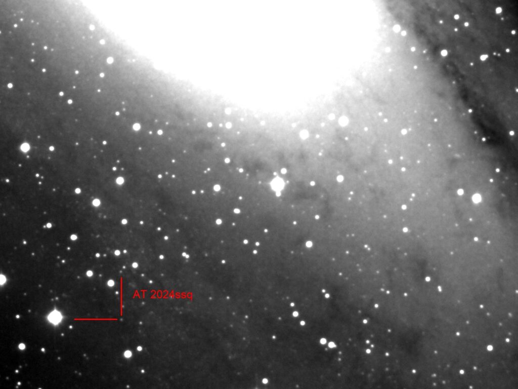 Immagine di scoperta della AT2024ssq in M31 ottenuta dal team dell’Osservatorio di Monte Baldo con un telescopio Ritchey Chretien da 400mm F.8 e 100 minuti di posa.