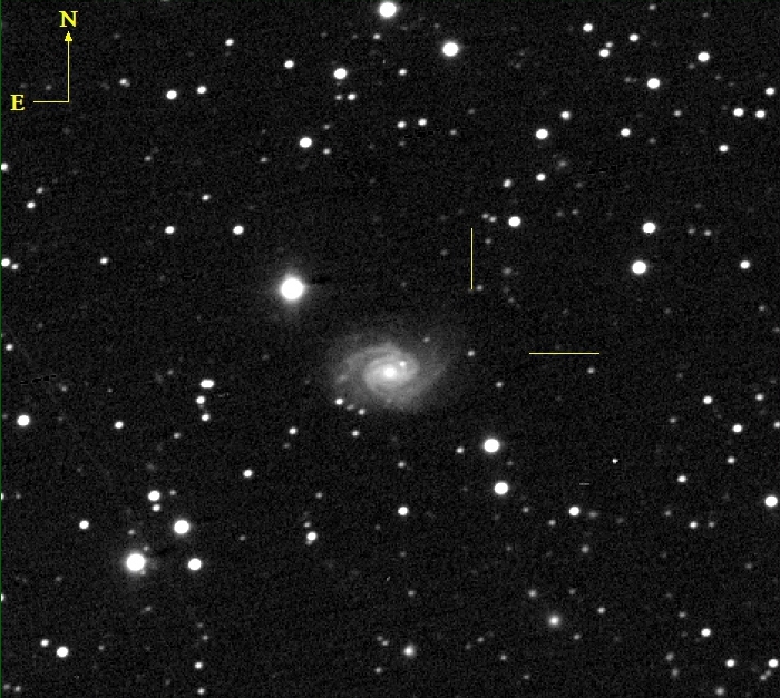 1)Immagine della SN2024vfo ripresa dall’astrofilo giapponese Yasuo Sano con un telescopio Schmidt-Cassegrain da 360mm F.11 ed esposizione di 90 secondi.