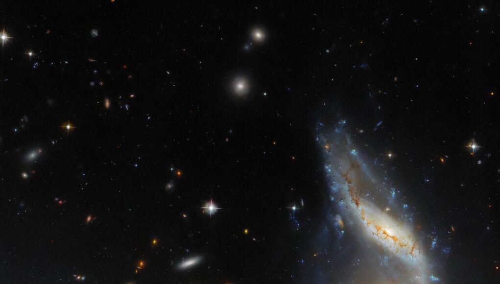 Arp 122 immagine Hubble