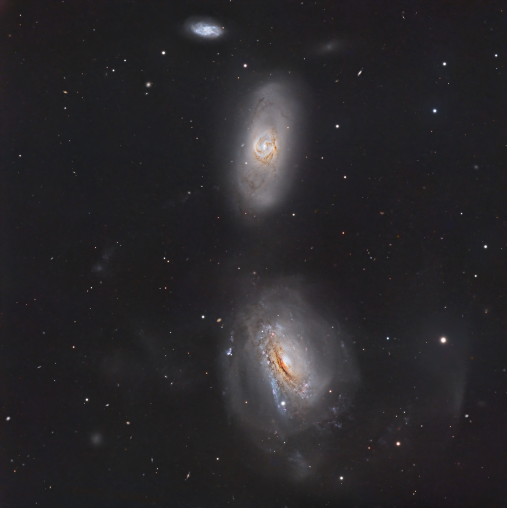 ShaRA#8.2 – Galassie Interagenti NGC3169 e NGC3166 Curzi