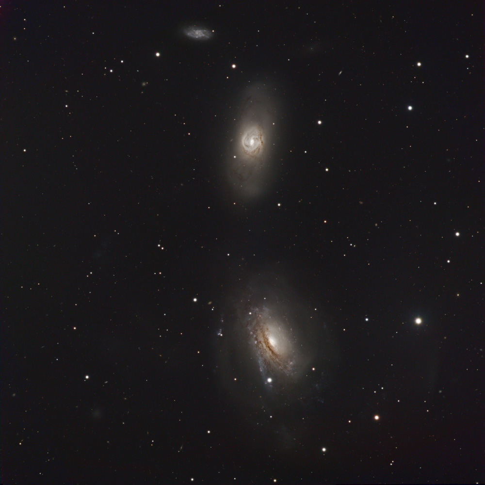 ShaRA#8.2 – Galassie Interagenti NGC3169 e NGC3166 Pazienza