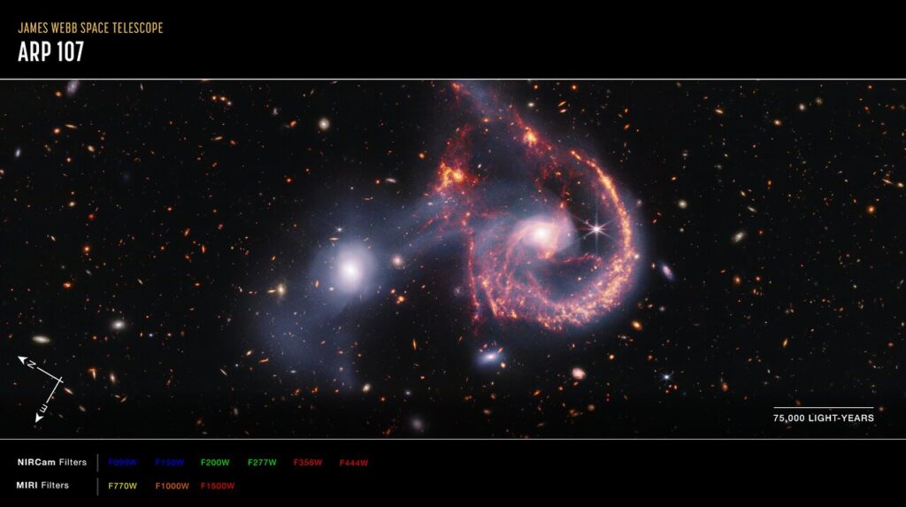 Arp 107 schema dati