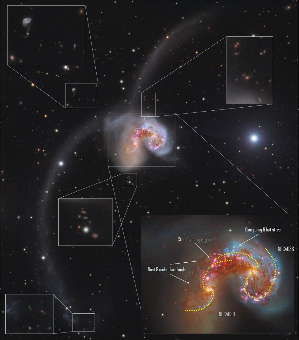 Le Galassie delle Antenne (NGC 4038 e NGC 4039) nel campo inquadrato, sono visibili moltissime galassie di sfondo, tra le quali anche una coppia di galassie interagenti non classificate in letteratura. 